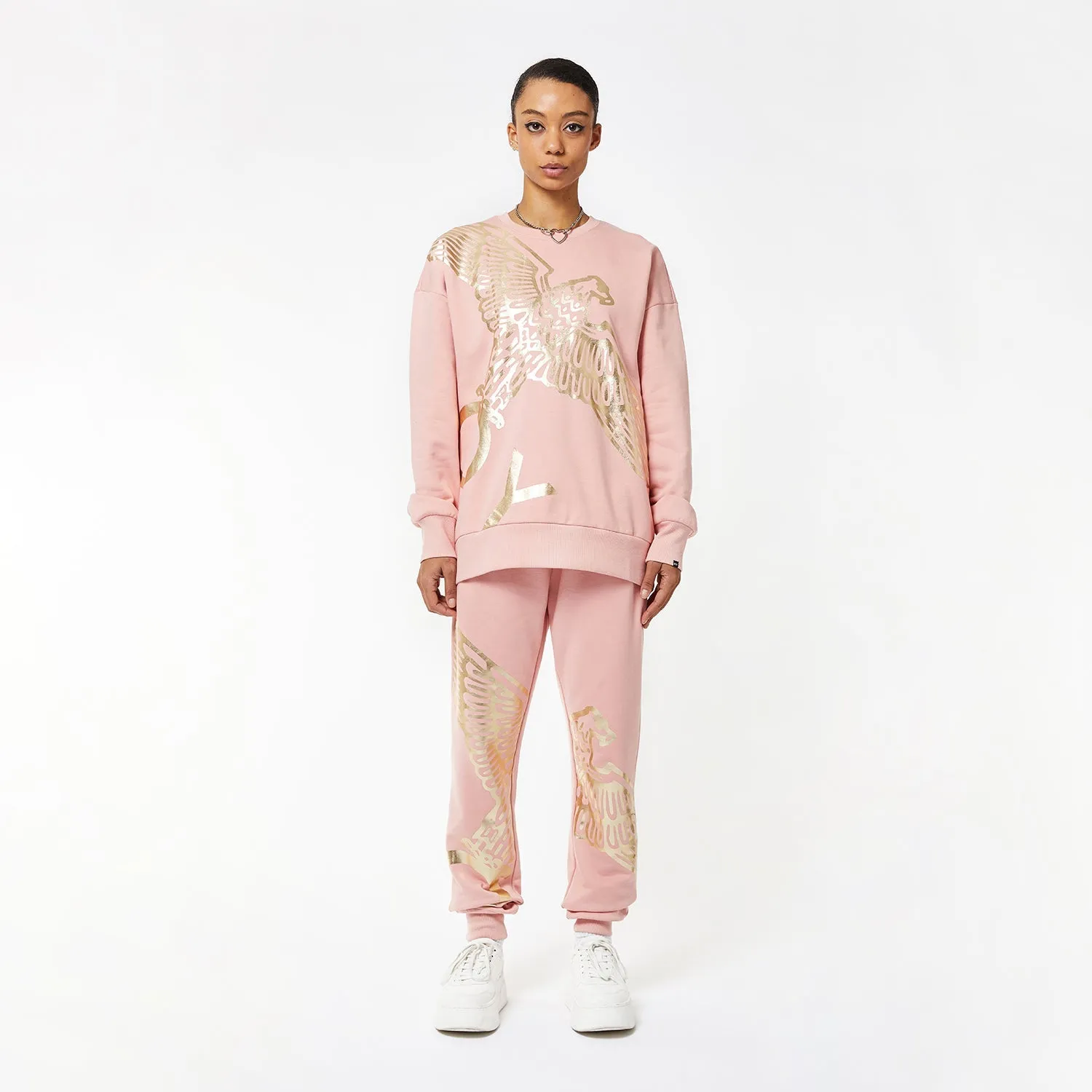 BOY WINGSPAN SWEATSHIRT - PINK/GOLD