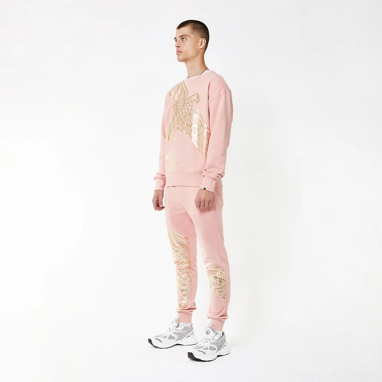 BOY WINGSPAN SWEATSHIRT - PINK/GOLD